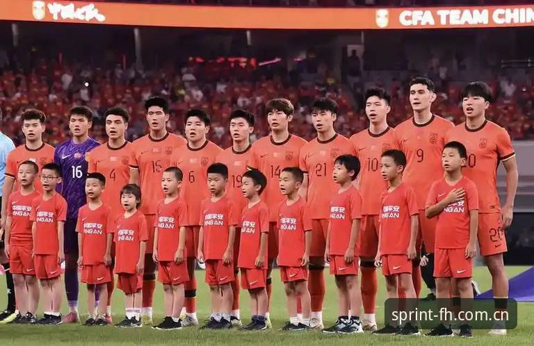 世界杯扩军至66队实用分析：中国男足重返舞台的必备知识
